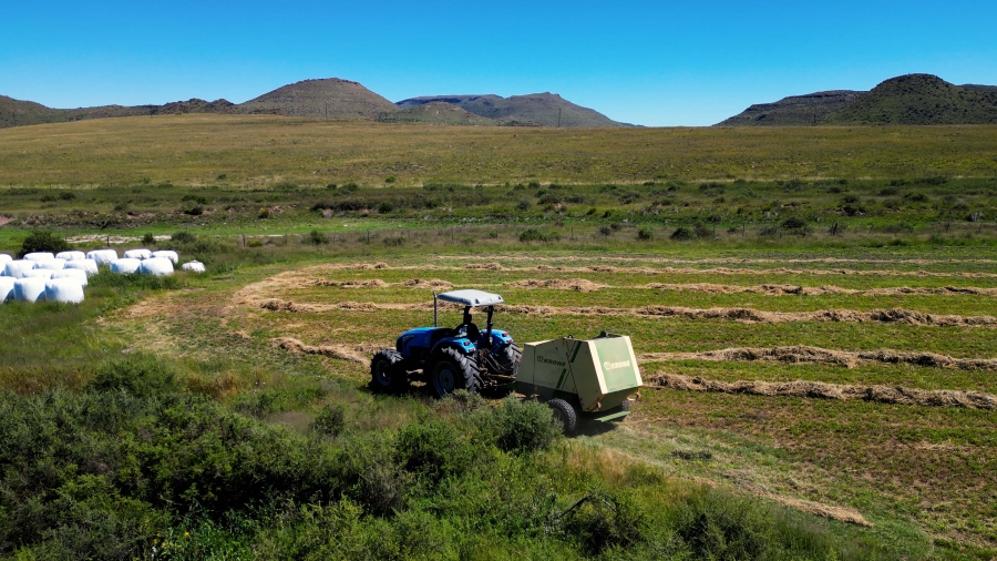 5 Bedroom Property for Sale in Steynsburg Rural Eastern Cape